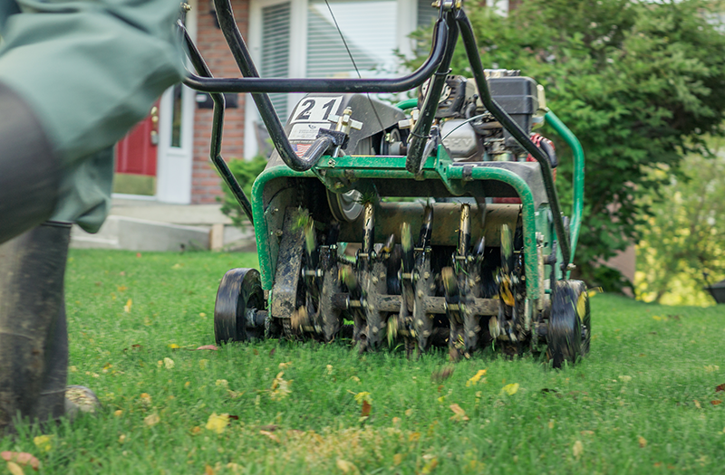 Core aeration machine pulling soil plugs from a residential lawn