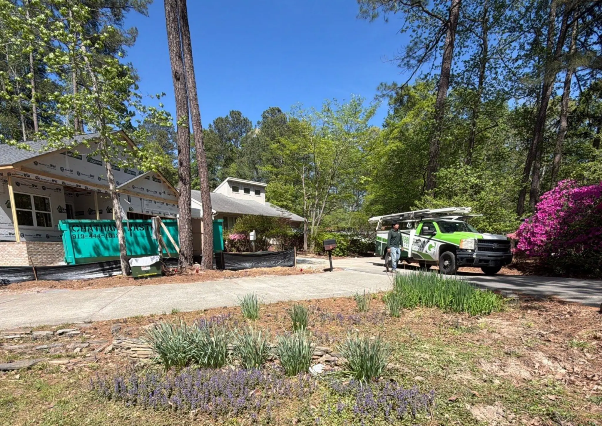 How to Get Rid of Mosquitoes in Your Yard — What Actually Works