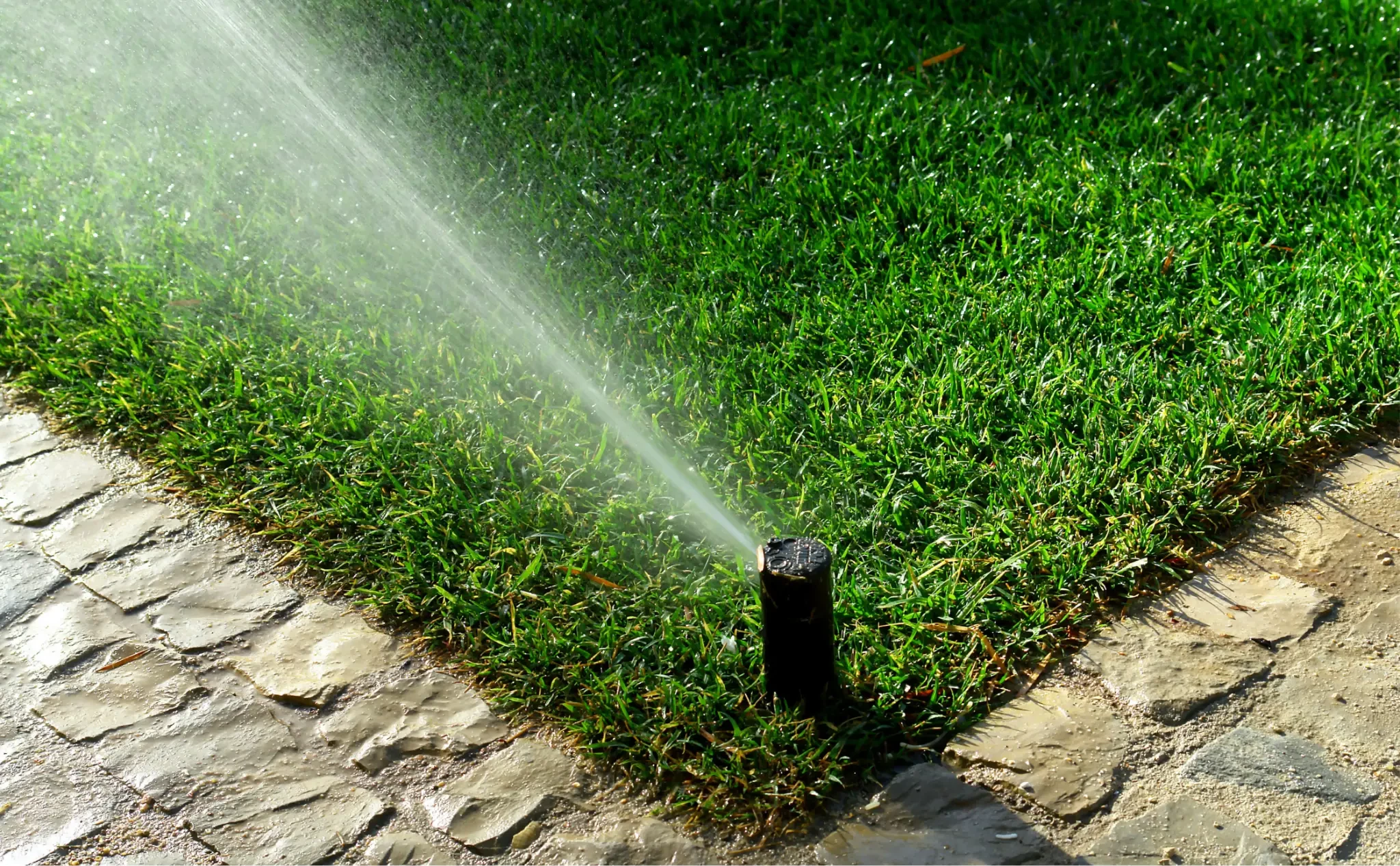 Is Your Irrigation System Ready for Spring? Here's What to Check
