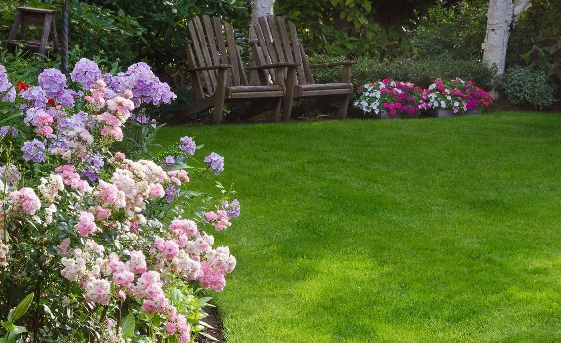 How To Show Some Love To Your Lawn With a Local Landscape Company - Green Garden Landscaping