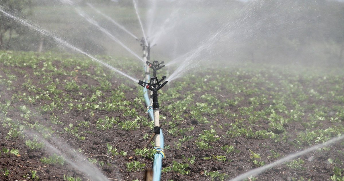 Major Advantages of Installing an Irrigation System - Green Garden Landscaping