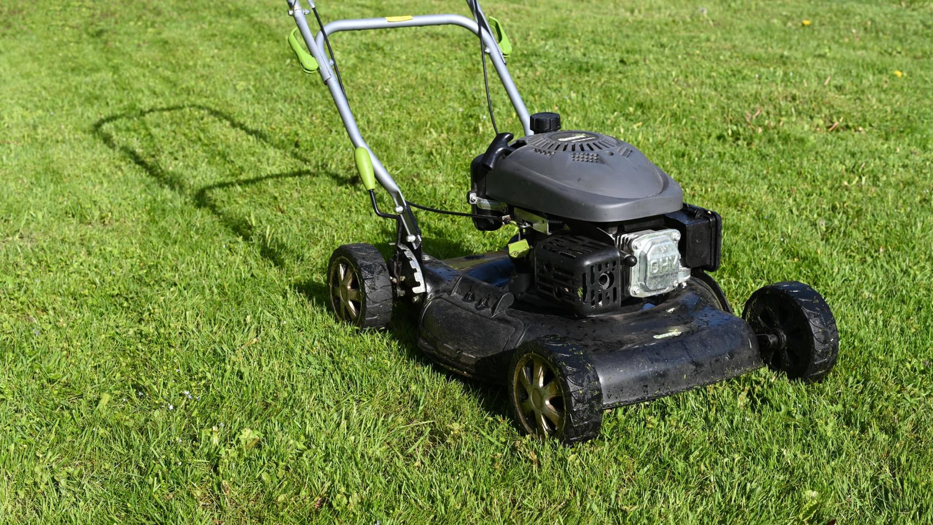 The First Cut – When is it Time for the First Spring Mow? - Green Garden Landscaping