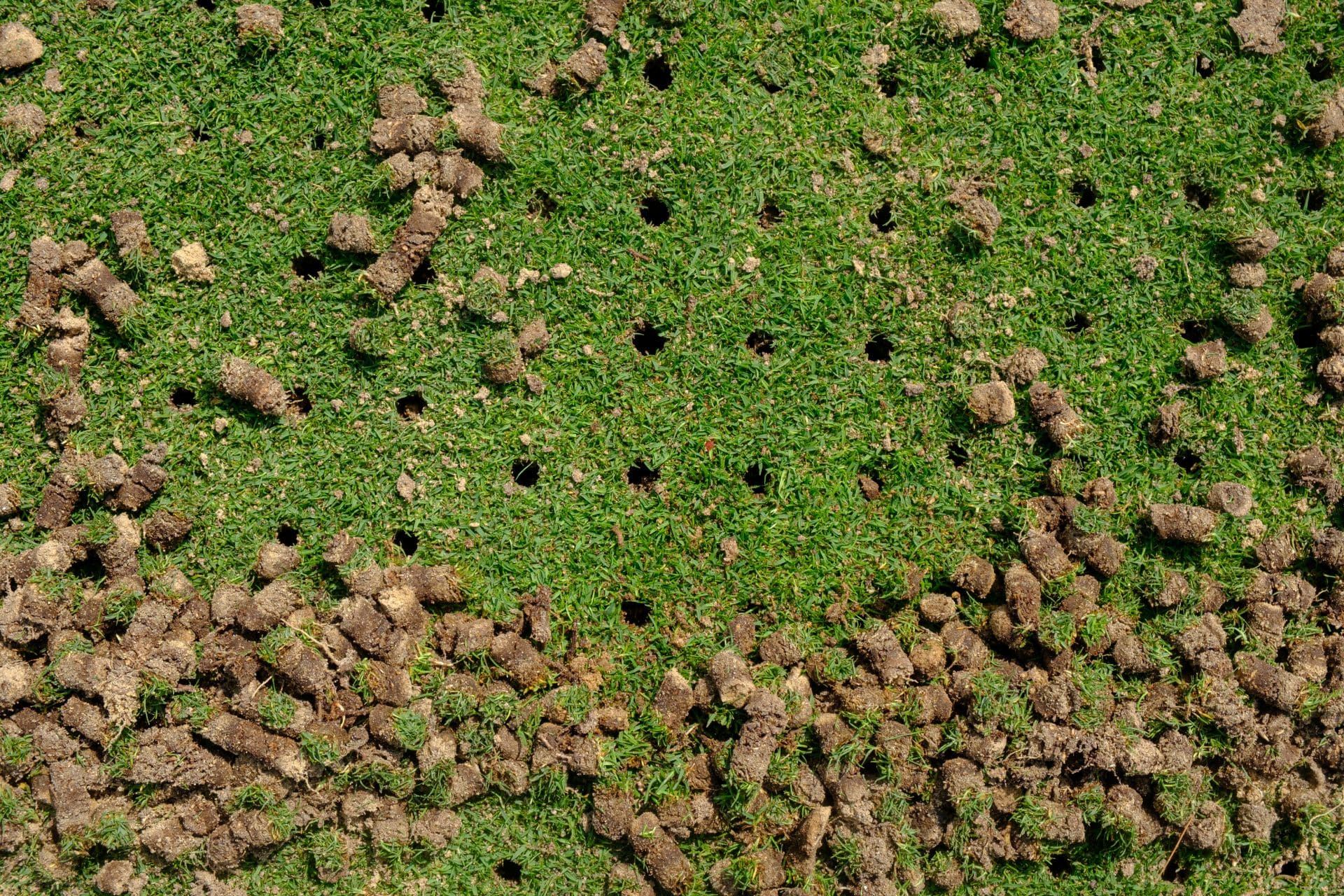 Aeration - Green Garden Landscaping
